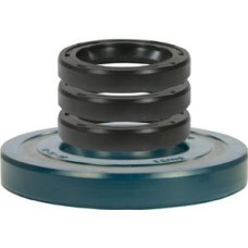 Comet Pumps Oil Seal Kit 172900016