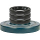 Comet Pumps Oil Seal Kits