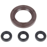 BE Pressure PW28 Axial Pump Oil Seal Repair Kit 199-1110
