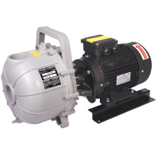 Pacer S Pump 200PPV-ES3 Electric Driven Centrifugal Pump 240V 0.48 Bar 350 Lpm