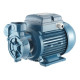 Pentax CP and CPT Peripheral Pump Positive Displacement Pumps with side suction Pentax CP and CPT Peripheral Pump Positive Displacement Pumps with side suction