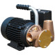 Jabsco P40 Utility Pumps Flexible Impeller Pumps