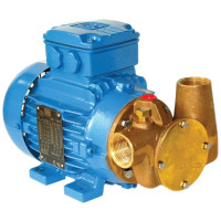 Jabsco P40 Utility Pump 1.3 Bar 33 Lpm 53041-2003-400v