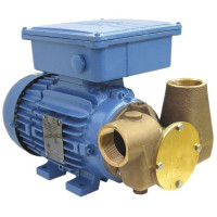 Jabsco P80 Utility Pump 1.5 Bar 80 Lpm 53081-2003-110v