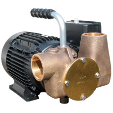 Jabsco P80 Utility Lubricating Oil Transfer Pump 1.5 Bar 40 Lpm 53081-2053-110V