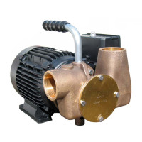 Jabsco P80 Utility Pump 1.5 Bar 80 Lpm 53081-2003-230v