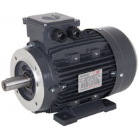 Electric Motor for Pumps 415V 1.0 Hp 1450 Rpm Solid Shaft