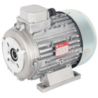 Melegari Electric Motor for Pumps 415V 7.5 Hp 1450 Rpm Hollow Shaft