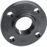 Banjo ANSI 150 Flange AF100