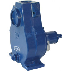 Renson AA5PL Pump Pedestal Mounted Centrifugal Pumps