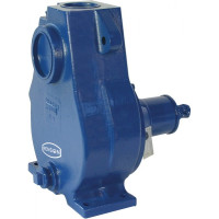 Renson AA5PLG Pump Pedestal Mounted Centrifugal Pumps- Reverse Rotation