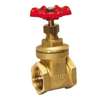 APP 1" Gate Valve C/W Reducing Nipple