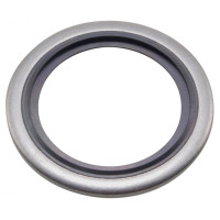 Stainless Steel Dowty Washer BW04SS Stainless Steel Dowty Washer BW04SS