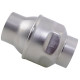 Stainless Steel Check Valves