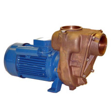 GMP EALE Pump Self Priming Bronze Centrifugal Pump 415v 1650 Lpm 12Hm