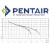 Pentair JET/NEW 1000M Pump Cast Iron Jet Pump 230v 70 Lpm 50 Hm
