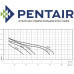Pentair JETINOX 90/50M Stainless Steel Self Priming Jet Pump 90 Lpm 50 Hm 230v