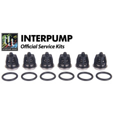 Interpump Service/Repair Kit 1
