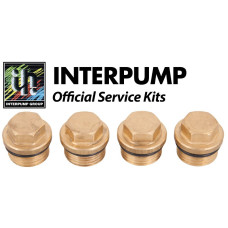 Interpump Service/Repair Kit 133