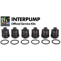 Interpump Service/Repair Kit 134