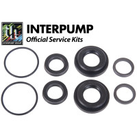 Interpump Service/Repair Kit 135