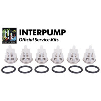 Interpump Service/Repair Kit 150