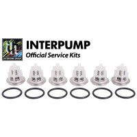 Interpump Service/Repair Kit 169