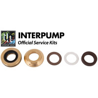 Interpump Service/Repair Kit 171