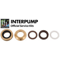 Interpump Service/Repair Kit 173