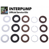 Interpump Service/Repair Kit 174