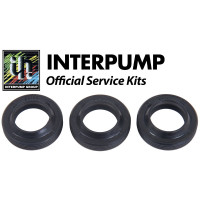 Interpump Service/Repair Kit 271