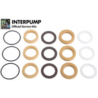 Interpump Service/Repair Kit 346