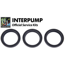 Interpump Service/Repair Kit 37