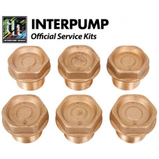 Interpump Service/Repair Kit 4