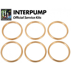 Interpump Service/Repair Kit 41