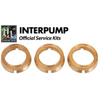 Interpump Service/Repair Kit 42