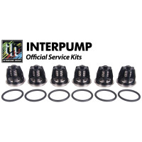 Interpump Service/Repair Kit 43