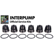 Interpump Service/Repair Kit 43