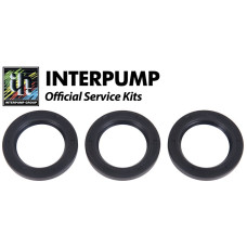 Interpump Service/Repair Kit 44