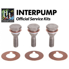 Interpump Service/Repair Kit 6