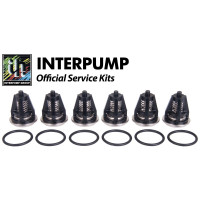 Interpump Service/Repair Kit 62