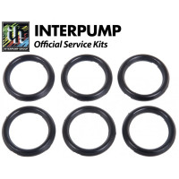 Interpump Service/Repair Kit 95