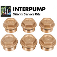 Interpump Service/Repair Kit 84
