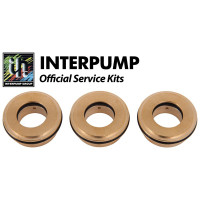 Interpump Service/Repair Kit 86