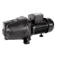 Pentair STA-RITE Cast Iron Centrifugal Jet Pumps Pentair STA-RITE Cast Iron Centrifugal Jet Pumps