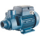 Pentax Surface Mounted Peripheral Pumps Pentax Surface Mounted Peripheral Pumps