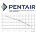 Pentair Pratika Pump Auto Submersible Multistage Pump 230v 110 Lpm 45 Hm