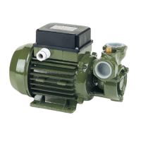SAER KF4 Peripheral Impeller Pump 230v (Performance Curve C)