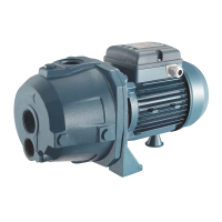 Pentax AP 100 Pump Self-Priming Pump With 2" External Ejector 230v