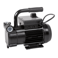 Pentair PGA DELTA OIL 40-30 Electric Powered Diesel Transfer Pumps 230v